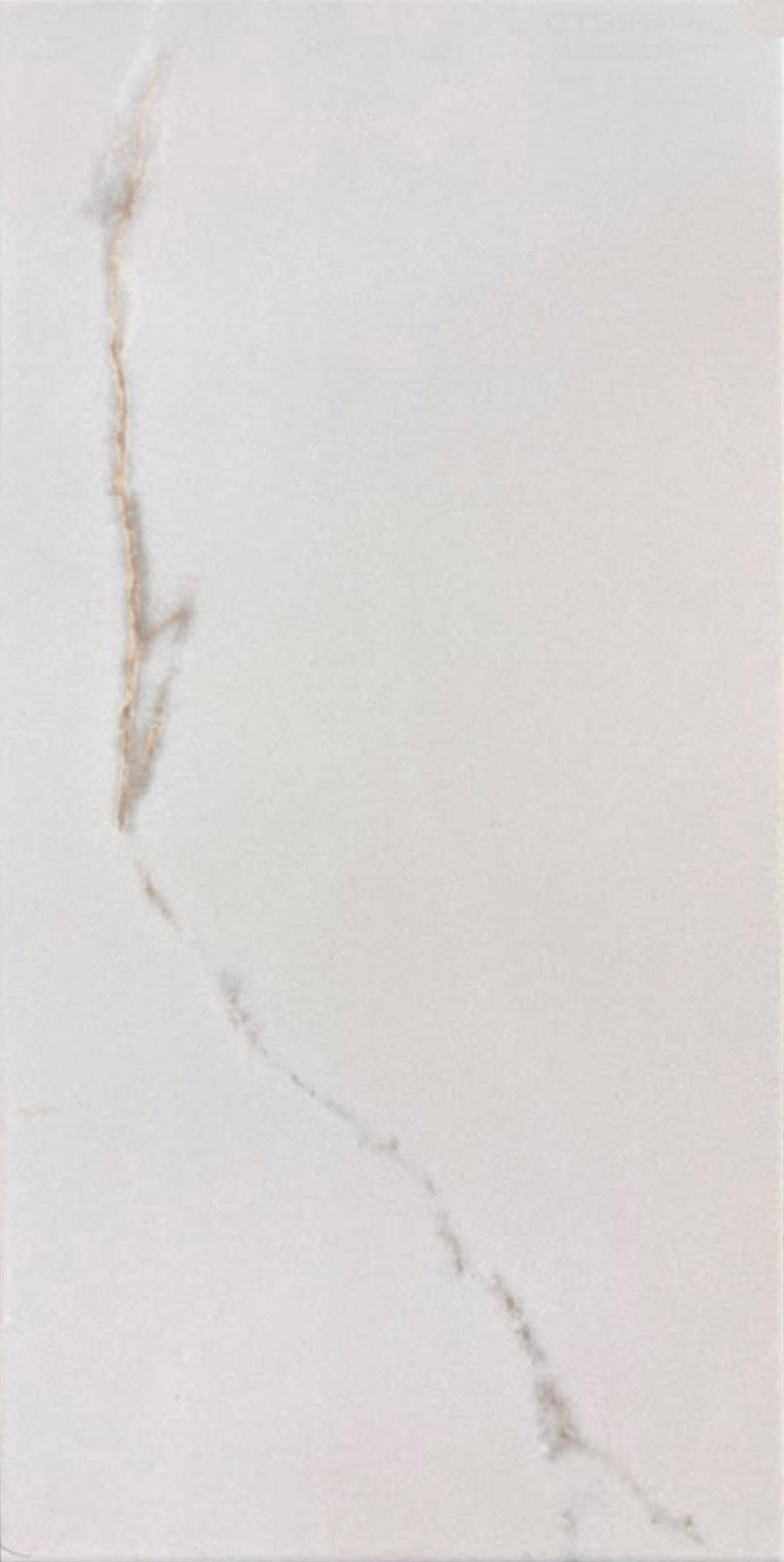 Castello Calacatta 12x24 Matte Porcelain
