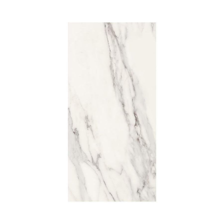 Dilivorno Extra 12X24 Matte Porcelain