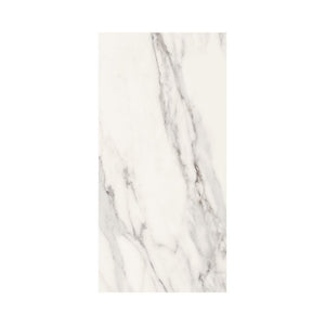 Dilivorno Extra 12X24 Matte Porcelain tile sample