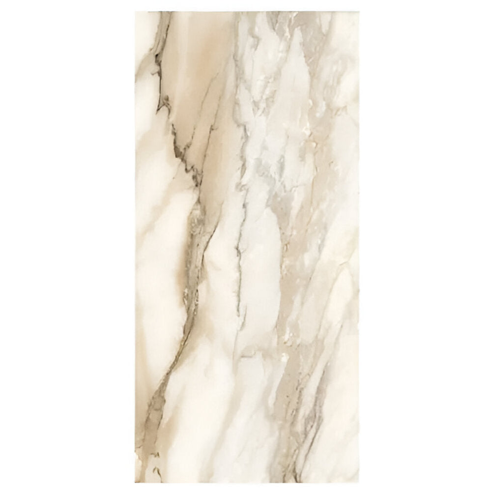 Dilivorno  Gold 12X24 Matte