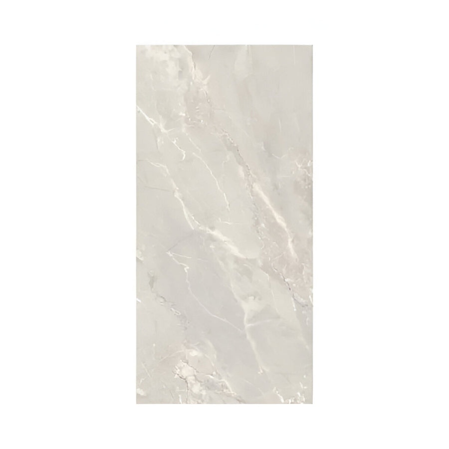 Dilivorno  Silver 12X24 Matte Porcelain