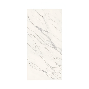 Dilivorno Venatino 12X24 Matte Porcelain tile sample