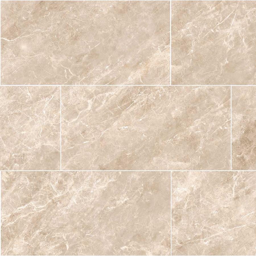 Balmoro Earth 12x24 Natural Porcelain