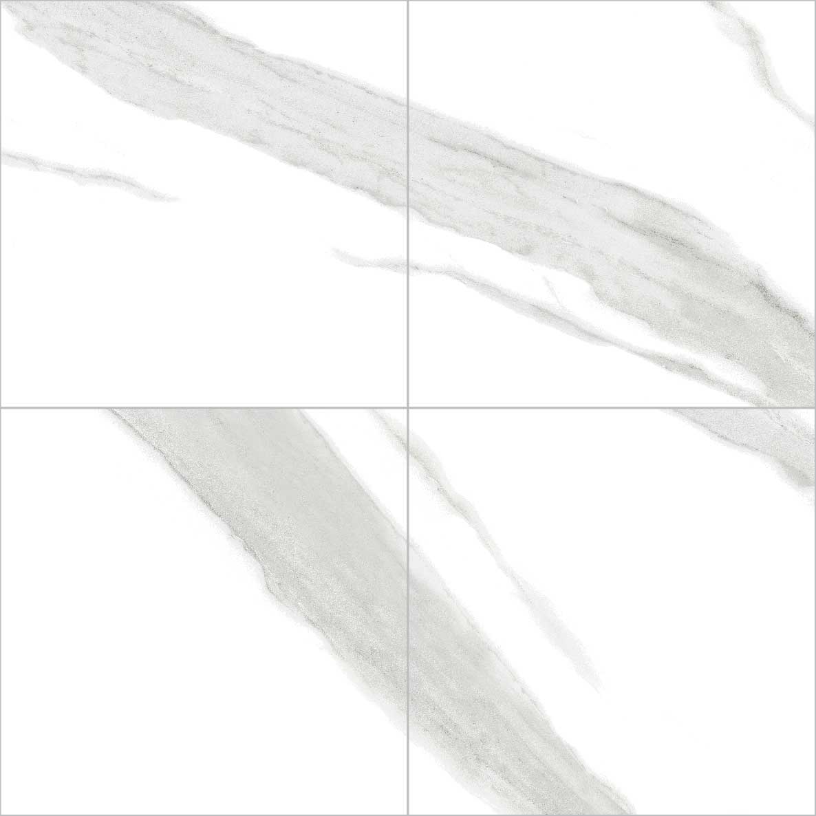 Carrara Bianco 24X48 Porcelain