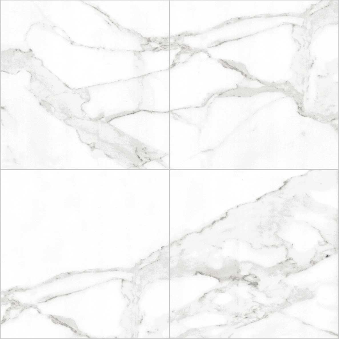 Elegance Statuario 24X48 Porcelain