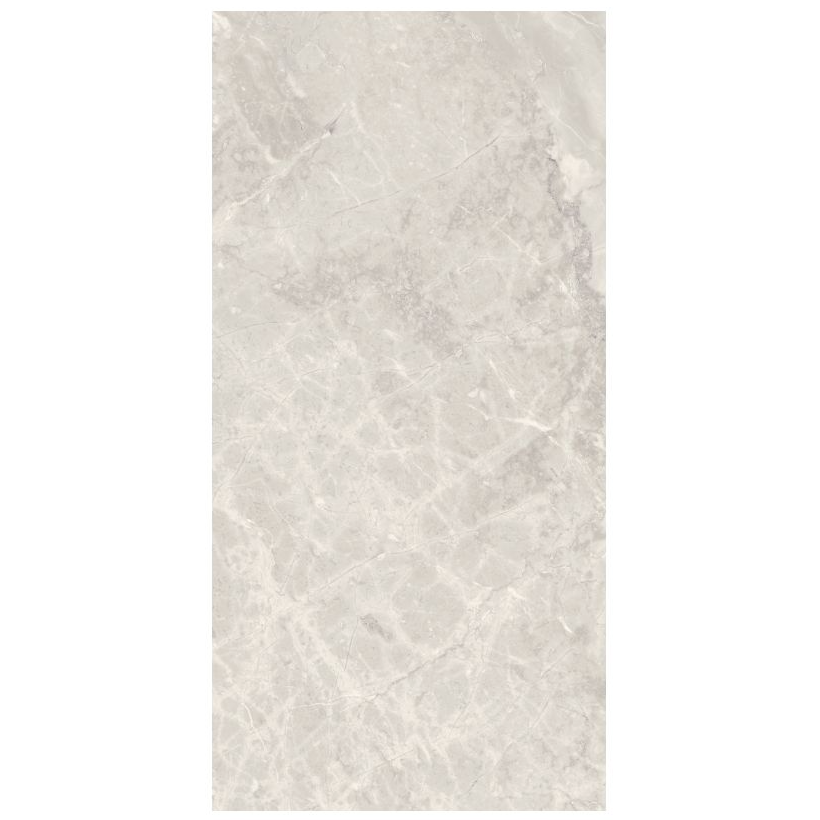 Dilivorno Silver 12X24 Polished Porcelain