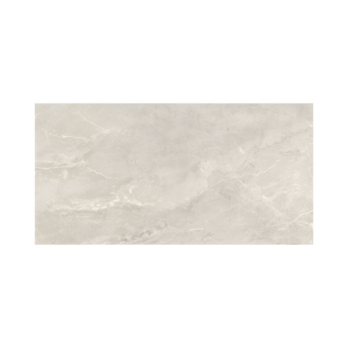 Dilivorno Silver 24X48 Polished tile sample