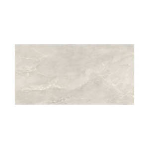 Dilivorno Silver 24X48 Polished tile sample