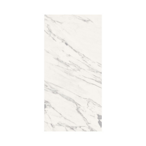 Dilivorno Venatino 12X24 Polished porcelain tile sample