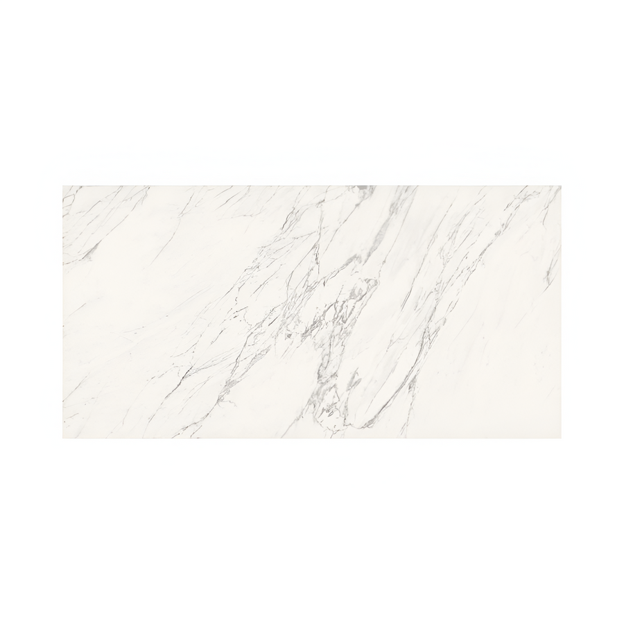 Dilivorno Venatino 24X48 Polished porcelain