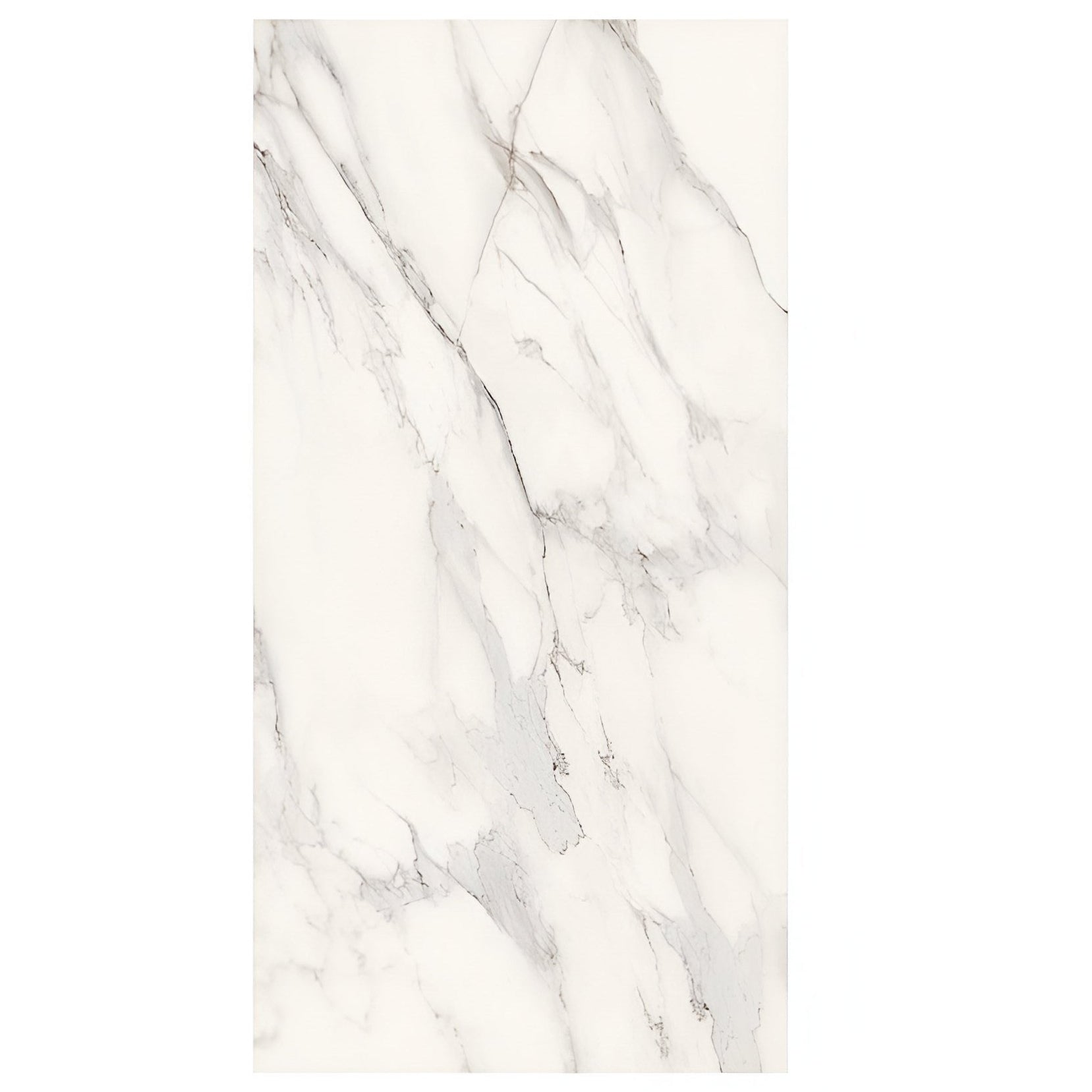 Dilivorno Extra 24X48 Polished Porcelain