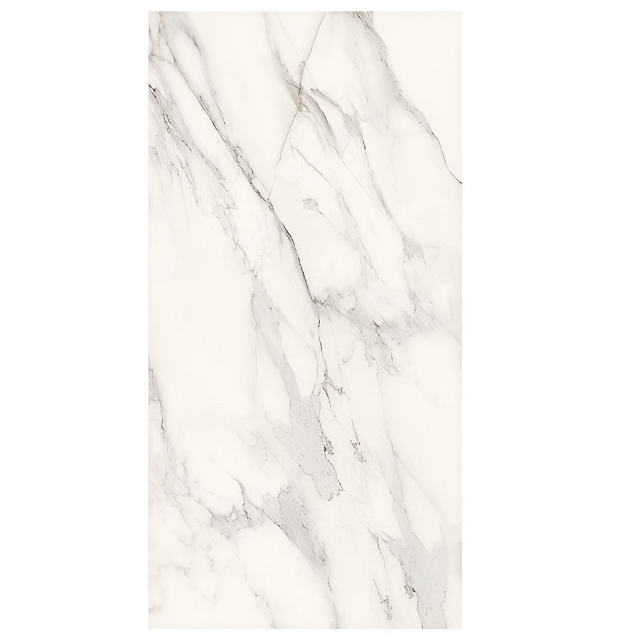 Dilivorno Extra 24X48 Polished Porcelain