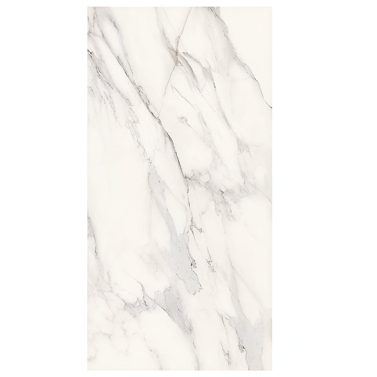 Dilivorno Extra 24X48 Polished Porcelain tile sample