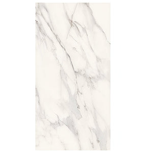Dilivorno Extra 24X48 Polished Porcelain tile sample