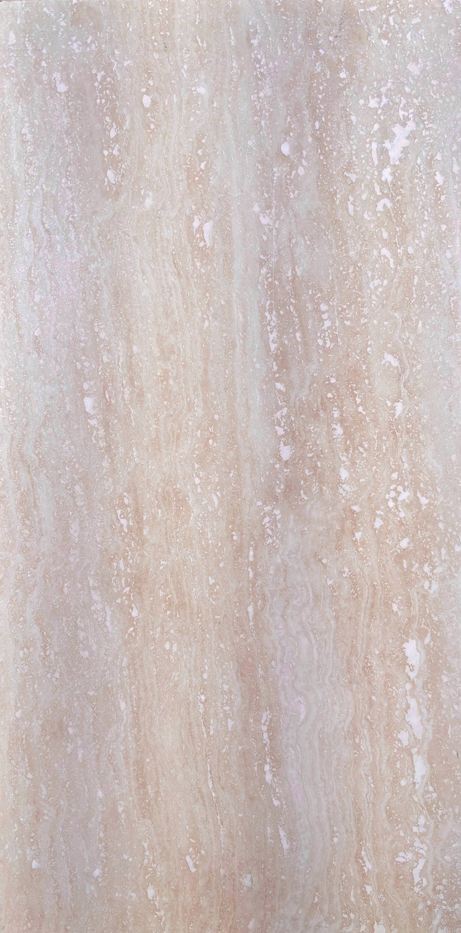 Travertine Light 12x24 Honed SAMPLE