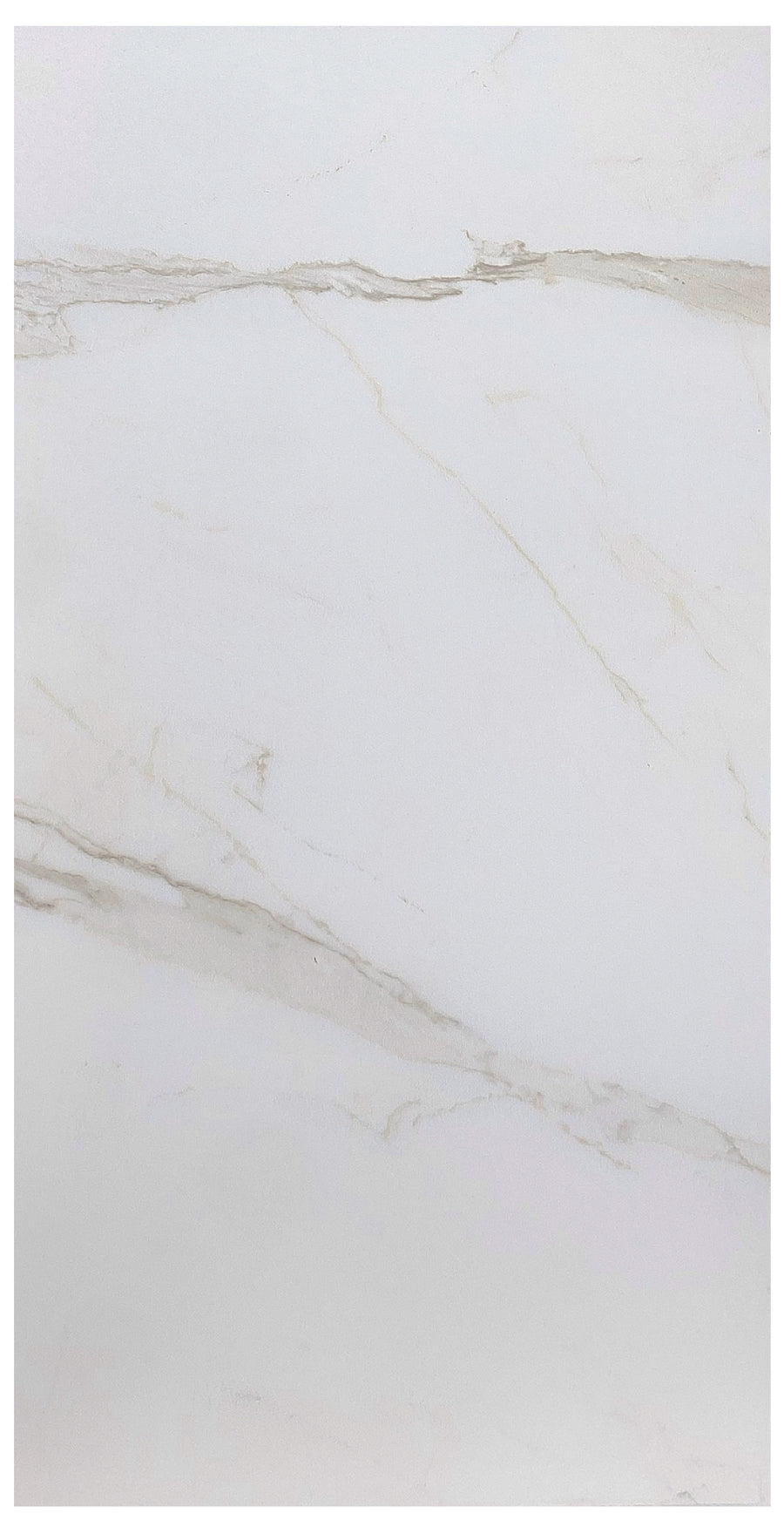 Palena Calacatta Oro  12X24 Matte