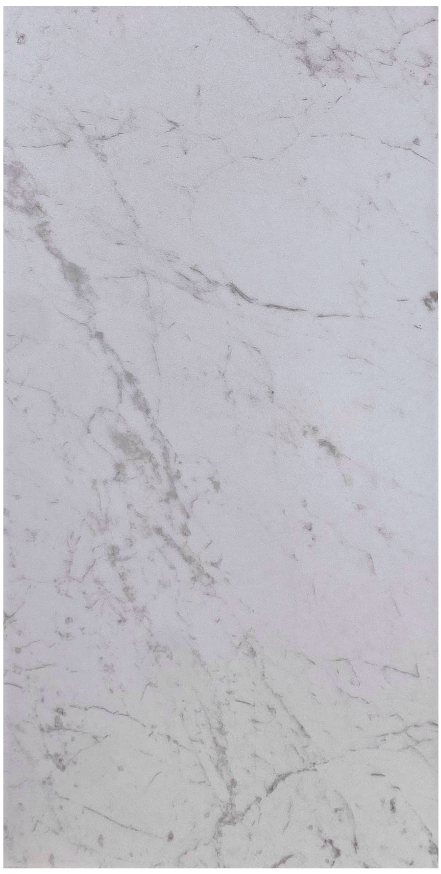 Palena Cararra 12X24 Matte