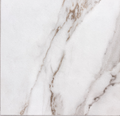 Magic Oro Versilia 12x12 Porcelain Matte