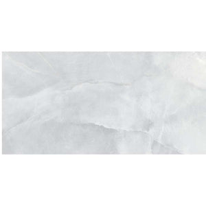 Onice Silver Gray 12x24 Matte Porcelain – porcelain tile, silver gray matte (2 of 3)