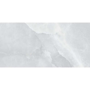 Onice Silver Gray 12x24 Polished Porcelain – porcelain tile, silver gray polished (2 of 3)