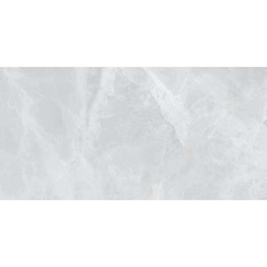 Onice Silver Gray 12x24 Polished Porcelain – porcelain tile, silver gray polished (3 of 3)