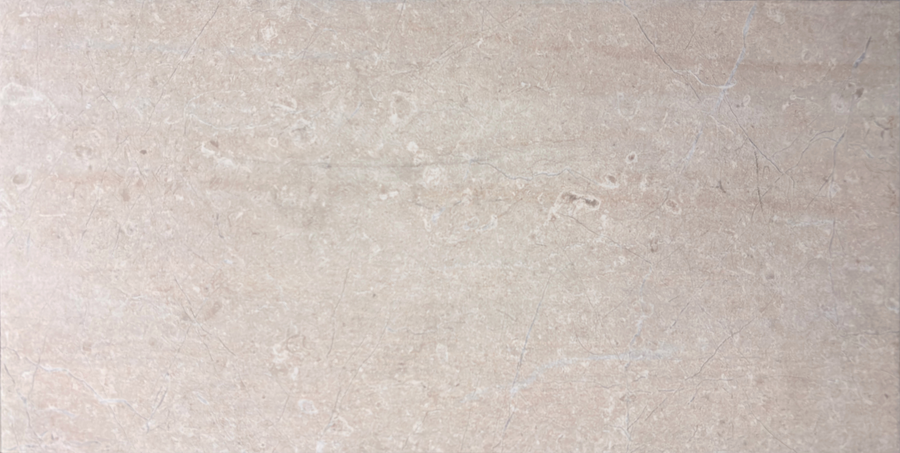 Palermo Bianco 12x24 Matte SAMPLE