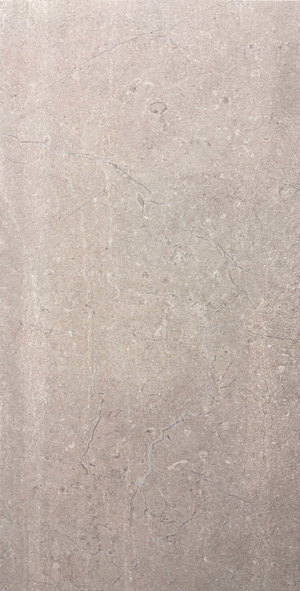 Palermo Grigio 12x24 Matte – porcelain tile, gray matte (2 of 3)