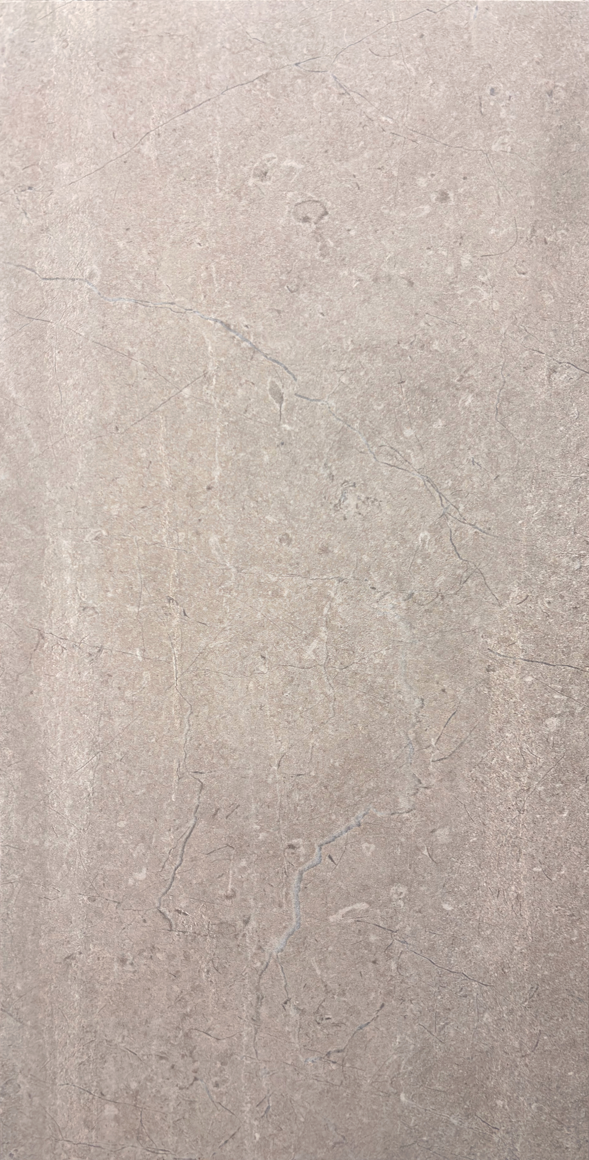 Palermo Grigio 12x24 Matte – porcelain tile, gray matte (2 of 3)