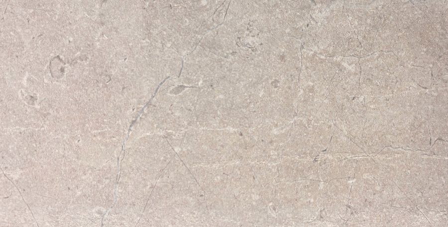 Palermo Grigio 12x24 Matte SAMPLE