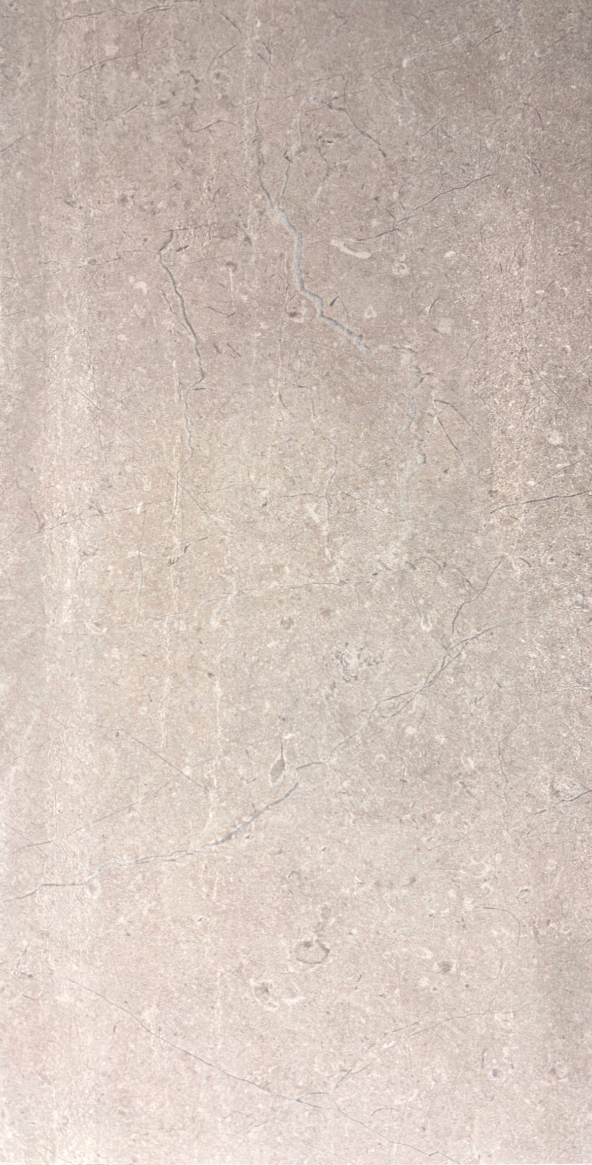 Palermo Grigio 24x48 Matte – porcelain tile, gray matte (2 of 3)