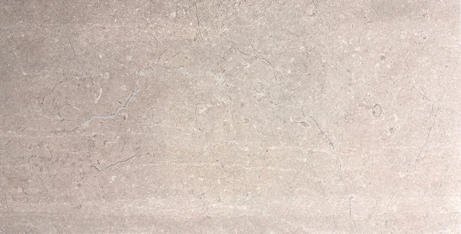 Palermo Grigio 24x48 Matte SAMPLE