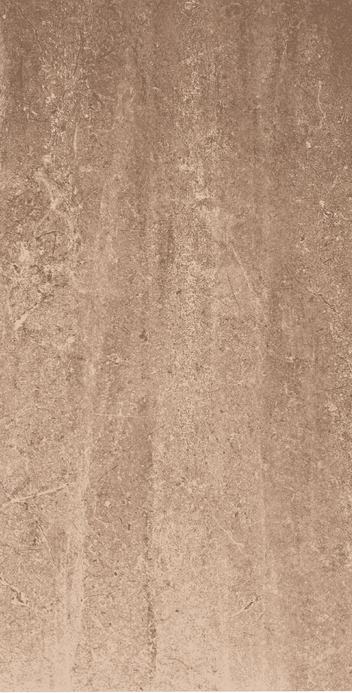 Palermo Visone 24x48 Matte – porcelain tile, brown matte (2 of 3)