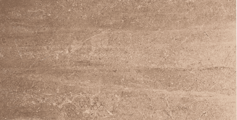 Palermo Visone 24x48 Matte SAMPLE