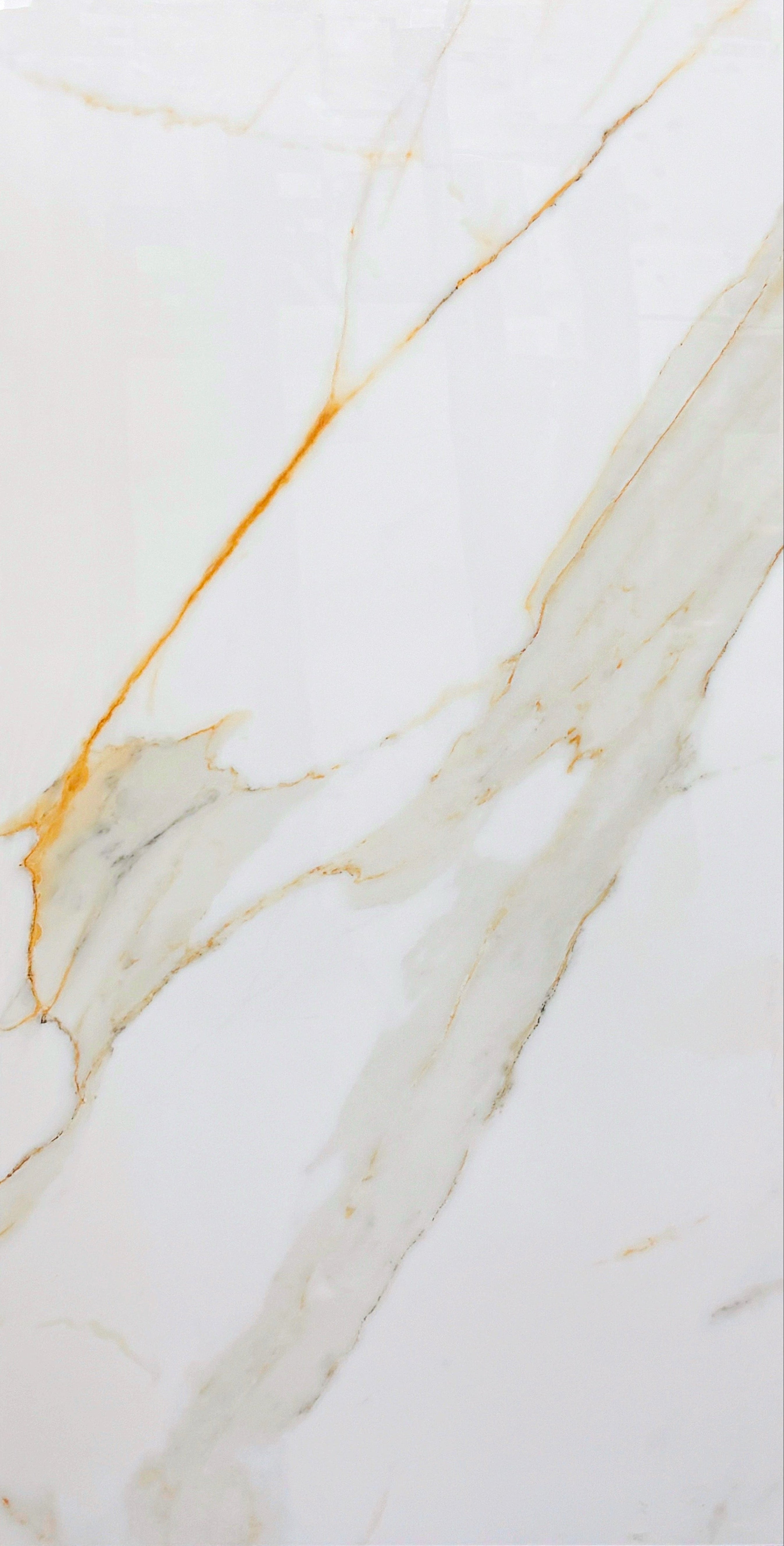 Calacatta Gold 24x48 Polished Porcelain
