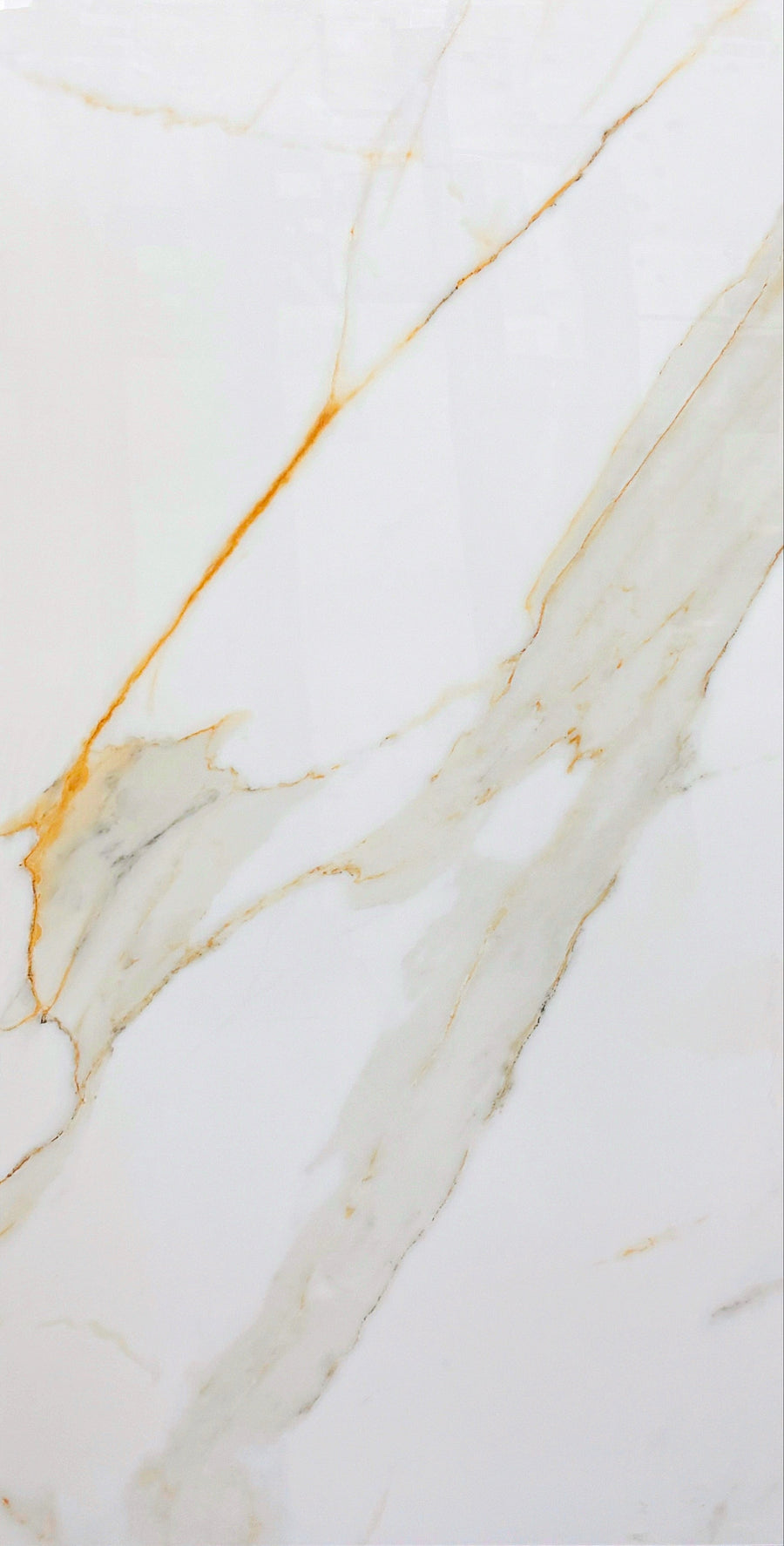 Calacatta Gold 24x48 Polished Porcelain