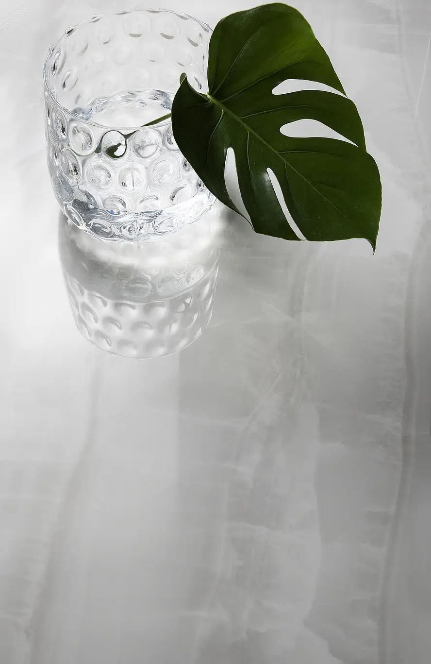 Onyx Silver 12X24 Polished Porcelain
