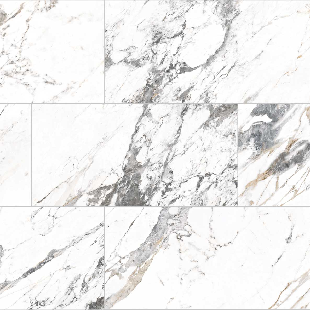 Tinenza 24X48 Porcelain