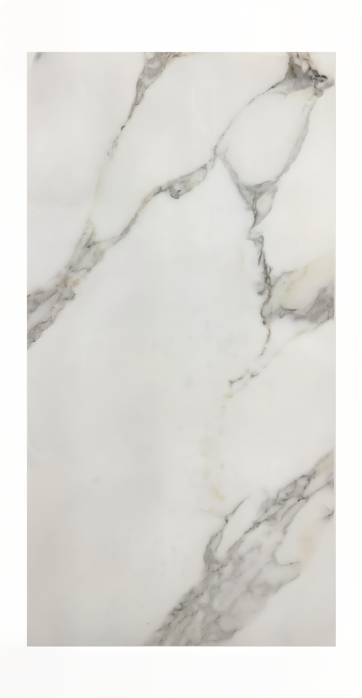 Refrazione Opera White 24X48 Polished tile sample