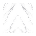 Refrazione  Carrara Book  A 24X48 Polished