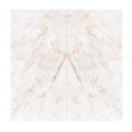 Refrazione  Chile White Book A 24X48 Polished