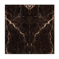 Refrazione Windsor Black Book A 24X48  Polished