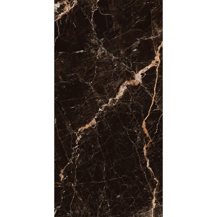 Refrazione  Windsor Black Book B 24x48 Polished